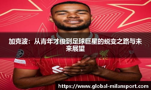 米兰体育